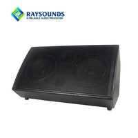 Amplificateur de guitare acoustique portable rechargeable 40W double 6,5 pouces avec microphone sans fil pour l'extérieur