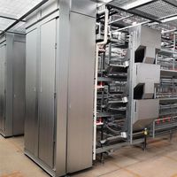 Cage à volailles en acier galvanisé pour poules pondeuses, solution d'élevage de type H avec une longue durée de vie et une garantie de 1,5 an