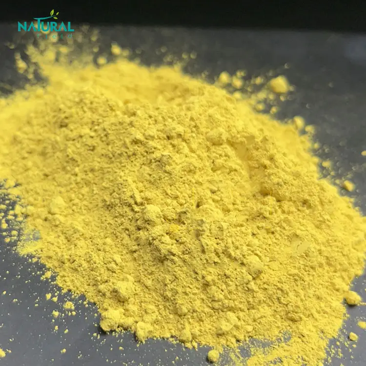 For Corporate Customers Smoketree Extract Powder Fisetin Extract Powder 98% Pure Fisetin Powder