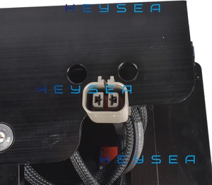Nouvelle plaque de levage hydraulique <span class=keywords><strong>marine</strong></span> HEYSEA 300HP pour bateau, réglable électriquement, avec décalage de 8 pouces, pour moteur hors-bord - Product Image 4