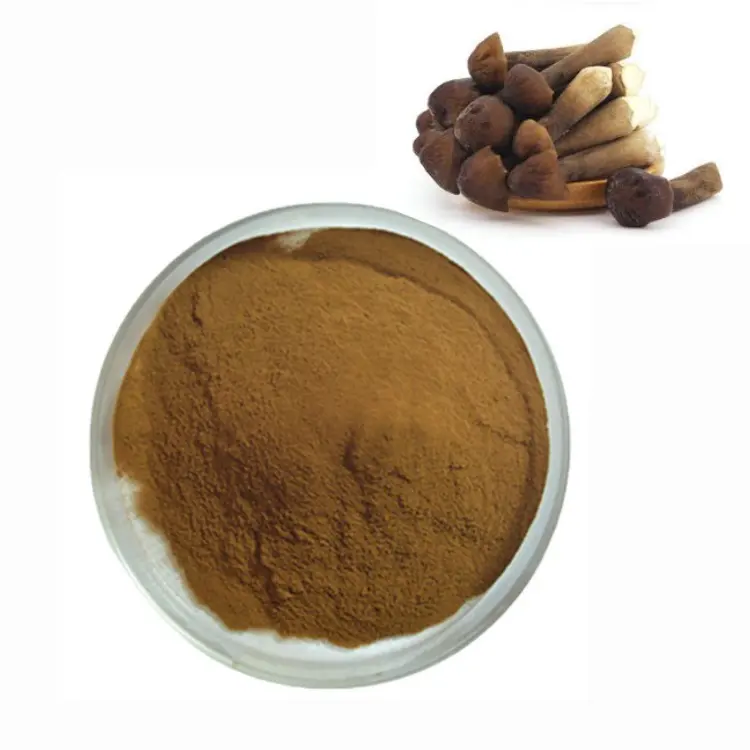 Herbasea Food Spices Flavor Specials Abalone Mushroom Extract powder