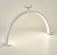 Lampe de table en forme d'arche demi-cercle, lumière LED à intensité variable pour le soin des yeux, idéale pour les studios de beauté, l'artisanat et les prises de vue en gros plan