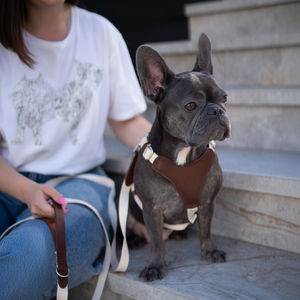 Ensemble de laisse de chien personnalisé harnais en cuir Y avant sans traction avec laisse Ft gravure arrière personnalisée pour bouledogues français - Product Image 1