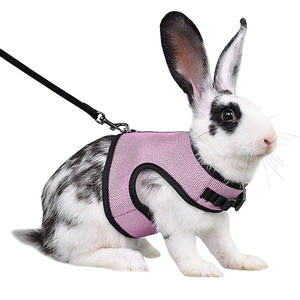 Tali <span class=keywords><strong>Harness</strong></span> kelinci desainer tali rompi kucing jaring bersirkulasi gesper imut dapat diatur tali anjing buangan anak anjing - Product Image 4