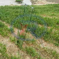 Bâton d'escalade pour plantes de jardin Piquet de support de fleurs Support de tomate Canne en acier revêtue de plastique