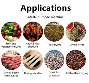 Secador de Banda Transportadora Continua para Biomasa de Nuez de Areca, Máquina Automática de Secado y Esterilización por Vapor de Acero Inoxidable SUS316L - Product Image 2