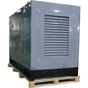 미니 20kw 25kva 침묵 바이오 가스 천연 가스 LPG 침묵 발전기 전원 홈 발전기 천연 가스