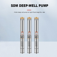 Boîtier de commande pour pompe immergée multi-étages haute pression en acier inoxydable AC 304, 2,5 CV, 4SDM2/32