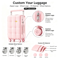 Valise rigide rose à motif quadrillé 20 pouces avec poignée large et roues silencieuses à 360°, personnalisable avec logo, prête à être expédiée