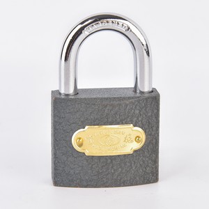 Rarlux-candado antirrobo de alta seguridad, 20, 25, 32, 38, 50, 63 y 75mm, 3 Llaves de acero, cilindro de latón completo, hierro gris - Product Image 1