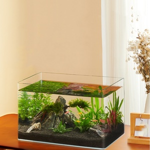 透明ガラス水族館デスクトップ生態学的水生植物タンクナイトライト水槽 - Product Image 2