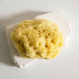 GLOWAY Premium Quality 20 Times Water Absorption Rate Luxurious Soft And Gentle Natural Silk Sea Sponge For Bathing