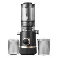 Extracteur de jus de haute qualité, machine à jus lent avec récipient à pulpe de 700 ml