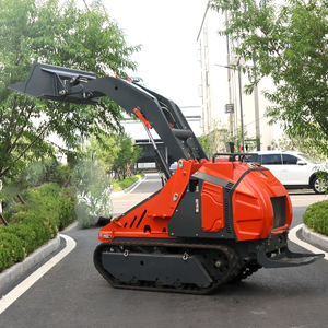 Chất Lượng Cao 500Kg Telehandler Kính Thiên Văn Skidsteer Theo Dõi Diesel Nhỏ Top Chất Kết Dính Mini Skid Chỉ đạo Bộ Nạp Với Xây Dựng - Product Image 3