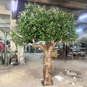 <span class=keywords><strong>Olivo</strong></span> de imitación de alta calidad, madera Real, 200cm, 210cm, 250cm de alto, <span class=keywords><strong>olivo</strong></span> viejo de imitación, árbol de <span class=keywords><strong>maceta</strong></span> Artificial de tacto Real para interiores - Product Image 4