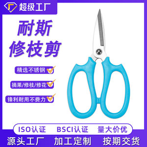 Nice Pruning Shears Stainless Steel Blue Straight Head 6.57.7cm Garden Use - Product Image 5