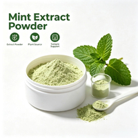 Extrait de menthe soluble dans l'eau à haute solubilité, extrait de menthe à mailles fines pour boissons, bonbons, chewing-gums, matière première de transformation