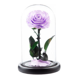 Caja de Regalo Clásica del Día de San Valentín con Diseño del Principito, Ramo de Flores Preservadas en Cúpula de Cristal, Decoración para Regalo - Product Image 6