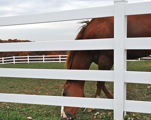 Durevole PVC bianco personalizzato PVC pannelli di recinzione del cavallo Rotproof e impermeabile PVC scherma Post e rotaie per la scherma del cavallo - Product Image 3