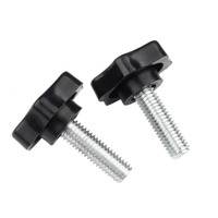 Classe de qualité 4.8 8.8 10.9 12.9 Acier galvanisé Placage de zinc blanc Vis à tête Torx en plastique noir