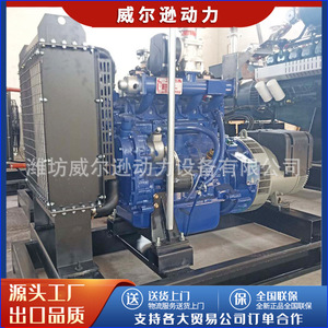 Weifang Gas Generator <b>Set</b> 30kW For Livestock <b>Farms</b> And Industrial Use - Product Image 5