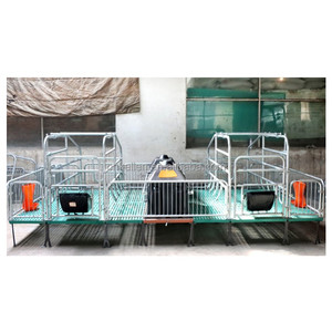 Jaula <span class=keywords><strong>de</strong></span> diseño único para conejillos <span class=keywords><strong>de</strong></span> indias, portabebés <span class=keywords><strong>de</strong></span> maternidad grande - Product Image 6