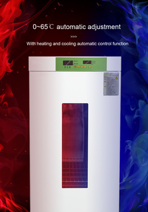 IKEME, Incubadora refrigerada de refrigeración de precisión de laboratorio de 80 litros, Incubadora bioquímica, incubadora de laboratorio para máquina de bioquímica - Product Image 6