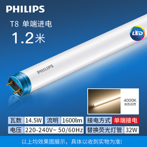 Tube <span class=keywords><strong>LED</strong></span> ESSENTIAL LEDtube 1200mm 14.5W <span class=keywords><strong>840</strong></span> <span class=keywords><strong>T8</strong></span> 1600LM 220v-240v, entrée d'alimentation à une extrémité, 10 pièces/paquet - Product Image 6