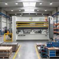 Presse hydraulique à chaud Hysen de 100 à 400 tonnes, personnalisable, pour le travail du bois, 2 couches, 220V/380V