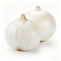 Graines d'oignon blanc hybride F1 de qualité supérieure pour la plantation, germination élevée, graines d'oignon frais pour l'agriculture