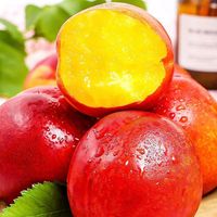 Pêches nectarines fraîches de meilleure qualité, sucrées et juteuses avec une chair délicieuse, pêche nectarine à chair jaune délicieuse