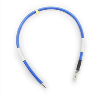 Faisceau de câblage automobile personnalisé avec terminal à sertir annulaire, câble en cuivre PVC, connexion électrique, longueur sur mesure, fourniture d'usine