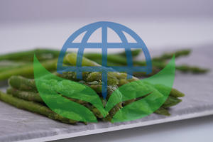 Espárragos Orgánicos Liofilizados de Primera Calidad a Granel para Sopas Instantáneas, Comidas Preparadas y Procesamiento de Alimentos - Product Image 2