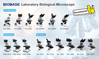 Microscope biologique binoculaire BIOBASE Chine S avec lentille à immersion dans l'huile pour les professionnels de laboratoire