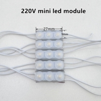 Modules LED mini haute luminosité, haute tension 220V 110V, étanches IP68, blanc chaud 2709, module LED SMD3030 injecté, garantie 2 ans