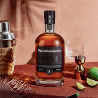Bouteille en verre de style nordique de qualité supérieure, forme originale, 250 ml, 500 ml, 750 ml, pour Tequila ou Vin, avec boîte d'emballage