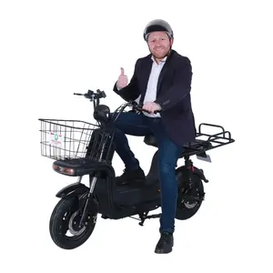 Y2-FD ODM OEMサービス鉛蓄電池ファストフード貨物用電動スクーター配送自転車