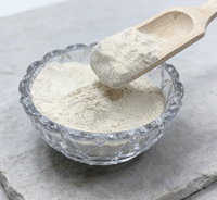 Farine de gluten de blé vital de qualité alimentaire supérieure avec conservateurs pour l'alimentation animale à vendre