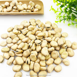 Fèves séchées de haute qualité Plantation naturelle Goût original Fèves - Product Image 5