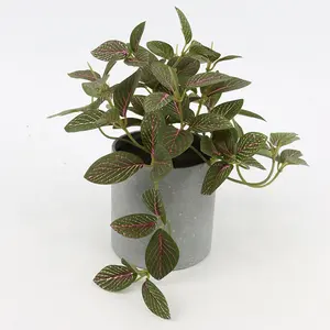 室内装饰塑料植物人造盆景盆栽植物17厘米三聚氰胺罐中的迷你红色Fittonia