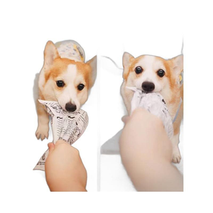 Giocattolo per cani a forma di giornale, resistente agli strappi, di qualità superiore, con squeaker, per stimolazione mentale e gioco quotidiano. - Product Image 6