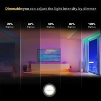 Bande LED personnalisée WS2812B WS2811 WS2815 5050 5V 12V 24V RGB Rgbw Rgbww RGBIC IP65/IP67/IP68 étanche Tira Led Strip
