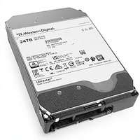 HDD per Sorveglianza Aziendale da 24TB HC580 WUH722424ALE604, Disco Rigido Interno SATA da 3,5 Pollici per Server