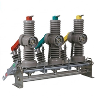 Interruptor de Vacío Inteligente para Exteriores Zhichao Power ZW20-12F/630 630 10kV Trifásico 20ka 50/60Hz