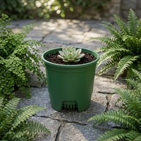 Pots de fleurs en plastique PP en gros avec fond de drainage en maille verte pour succulentes - Jardinières légères et durables pour intérieur/extérieur