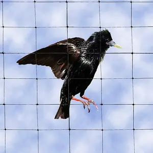 Agricoltura nera Anti uccello rete di plastica estrusa cattura rete per uccelli cervo recinzione talpa