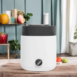 2024 hộ gia đình Ice Cream Maker OEM trái cây tự động mềm phục vụ Ice Cream Maker CuộN Ice Cream Maker Máy mini kích thước