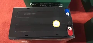 Мощный аккумулятор 12v EVF 58AH гелевая свинцовая батарея для электромобилей и газонокосилки - Product Image 3