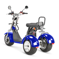 Scooter Eléctrico Triciclo de Doble Motor 2026 de 4000W, Scooter Eléctrico con Neumáticos Anchos, Bicicleta Eléctrica Urbana de 2000W, Scooter de Dos Ruedas Citycoco