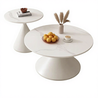 Ensemble de tables basses modernes minimalistes en acier inoxydable, meubles de salon de haute qualité et écologiques